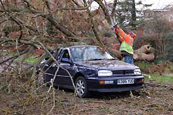 Woodstock Road tree falls on Witney woman's car