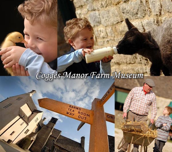 Cogges Manor Farm Museum in Witney