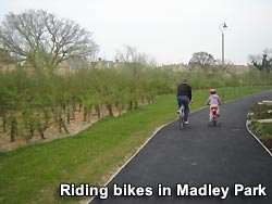 A view of Madley Park