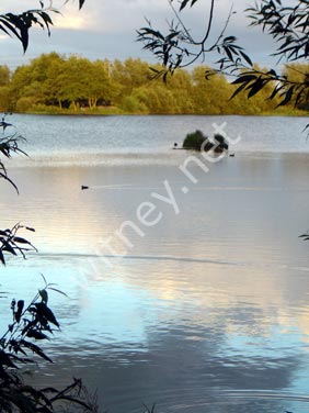 Witney Lake and Meadows